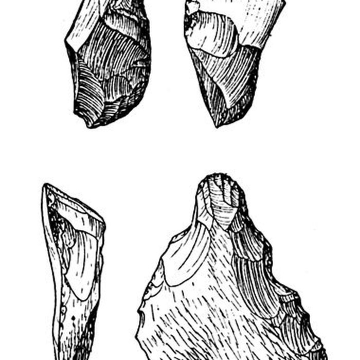 Photo de Salle des États de Forez à Montbrison