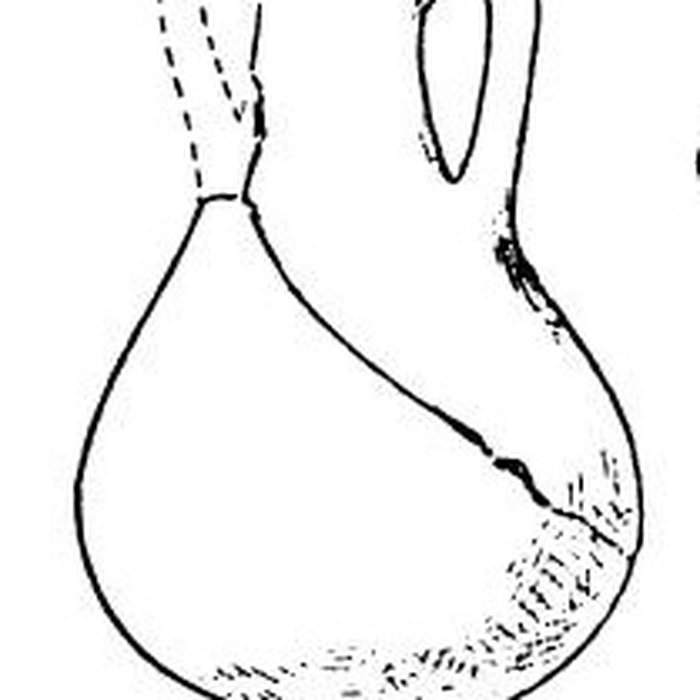 Photo de Salle des États de Forez à Montbrison