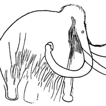 Salle des États de Forez à Montbrison