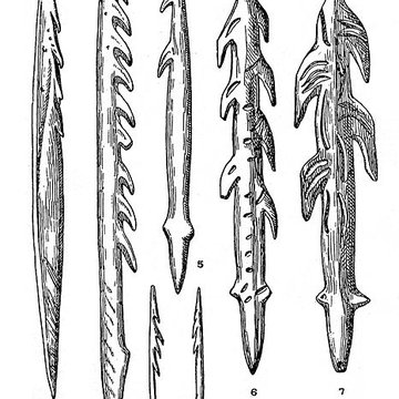 Salle des États de Forez à Montbrison