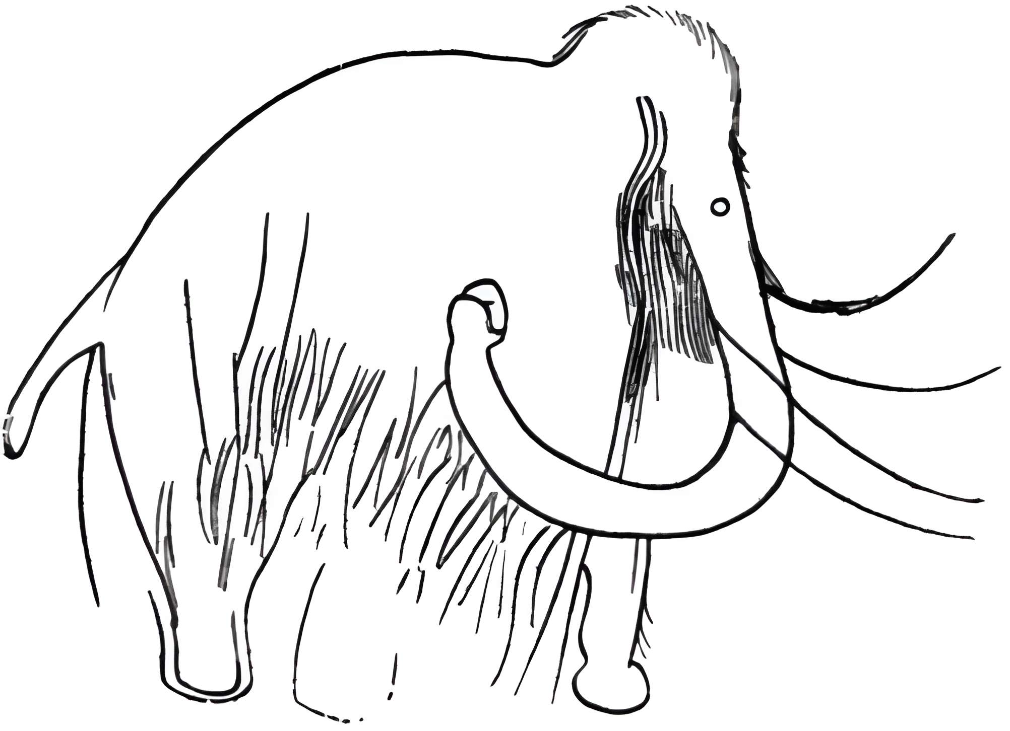 Salle des États de Forez à Montbrison