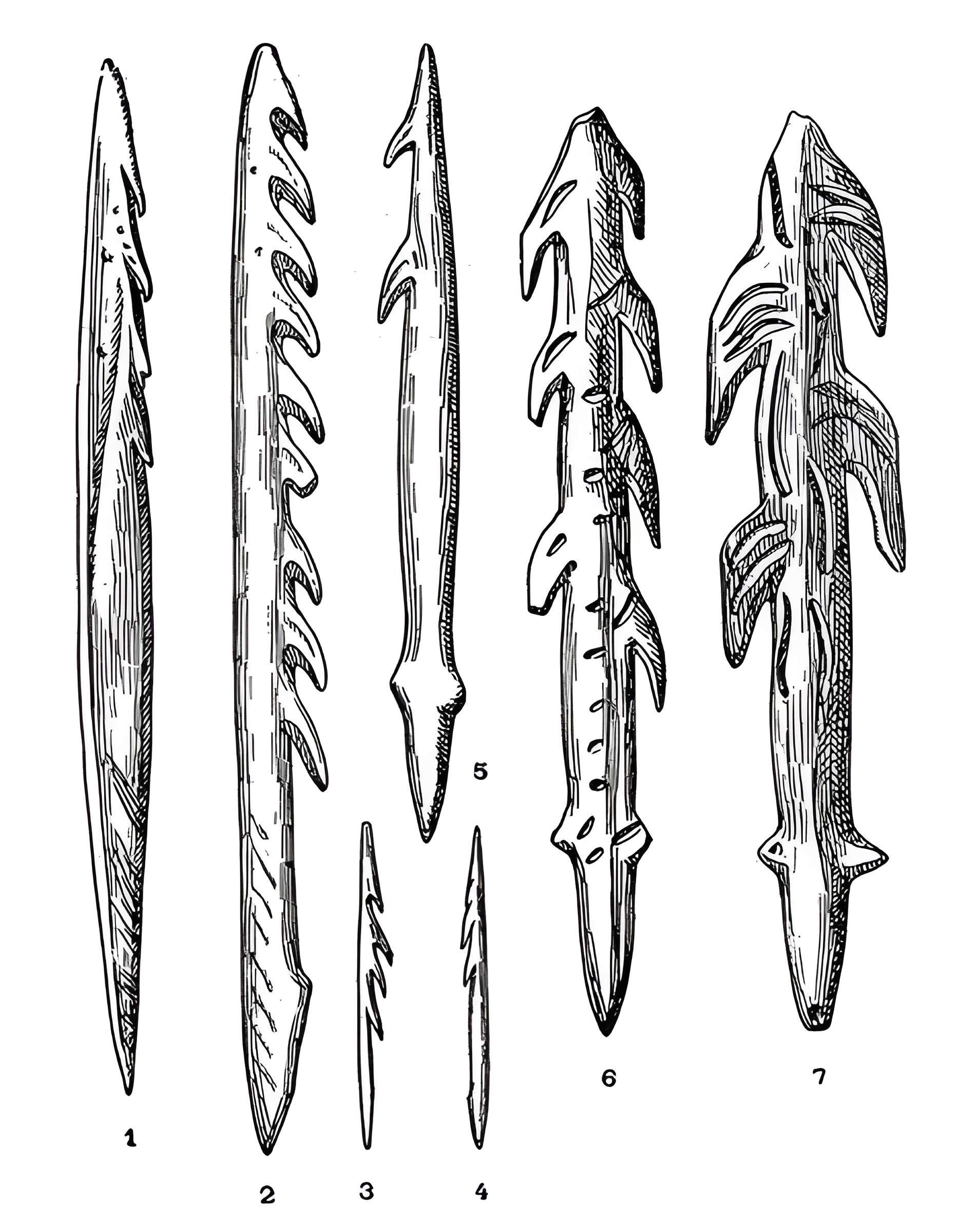 Salle des États de Forez à Montbrison