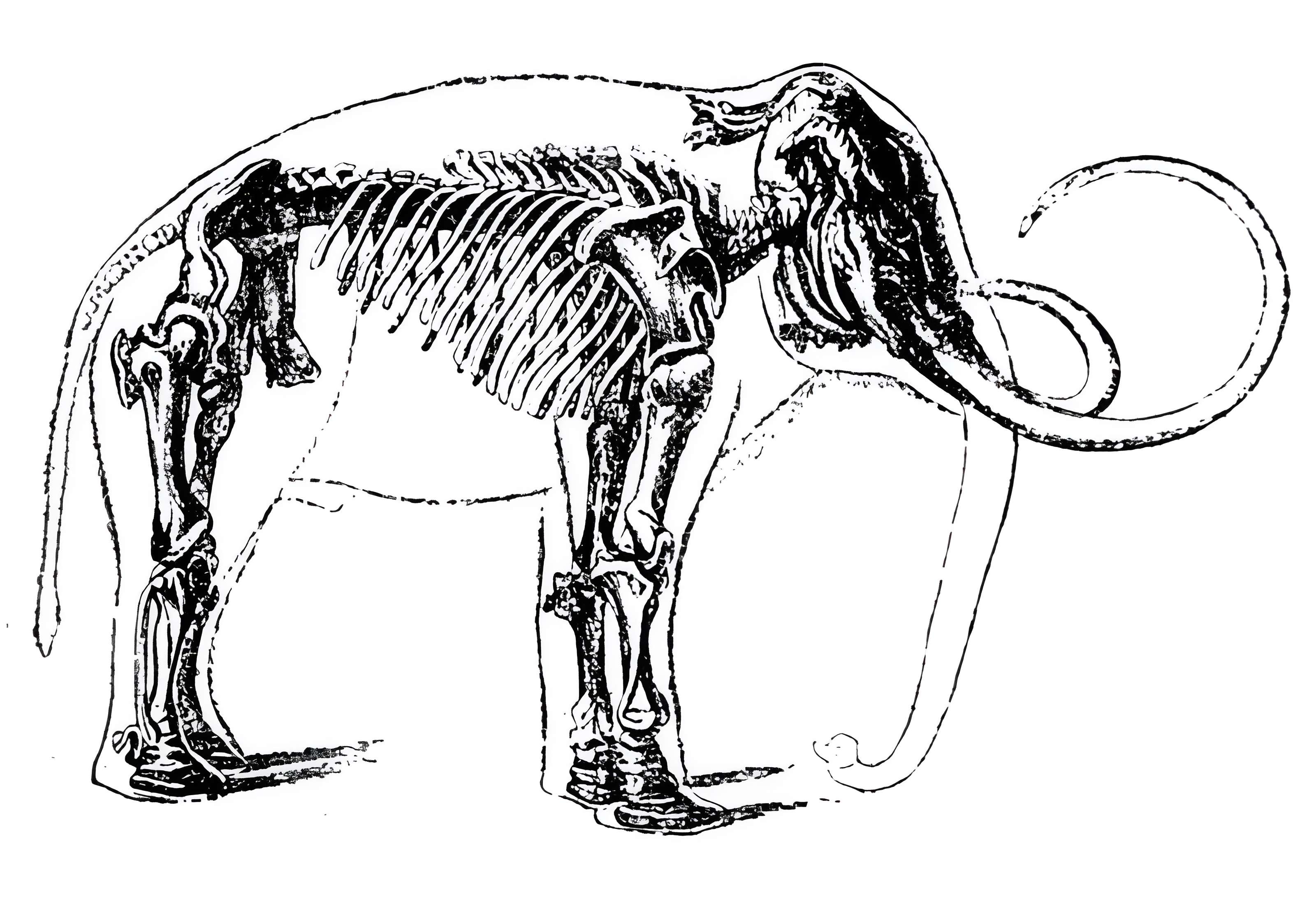 Salle des États de Forez à Montbrison