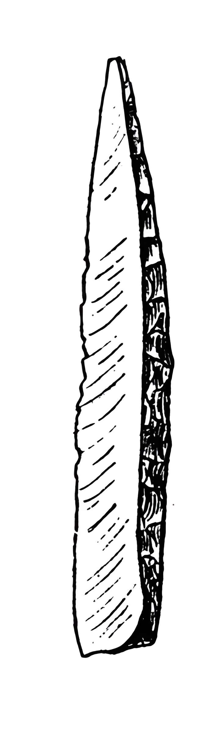 Salle des États de Forez à Montbrison