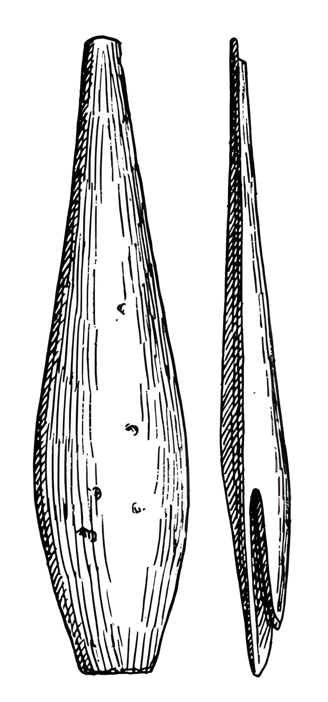 Salle des États de Forez à Montbrison