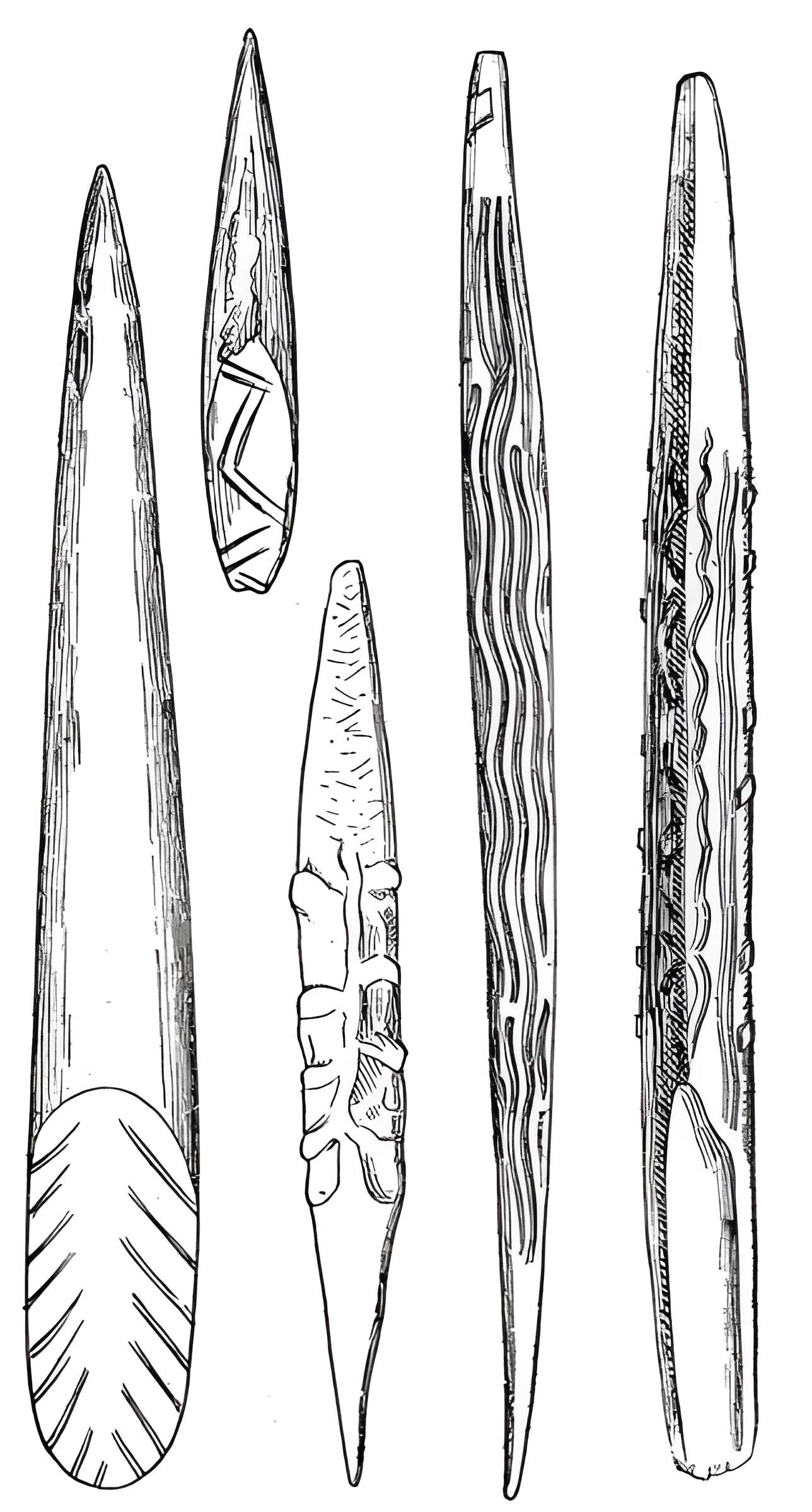 Salle des États de Forez à Montbrison