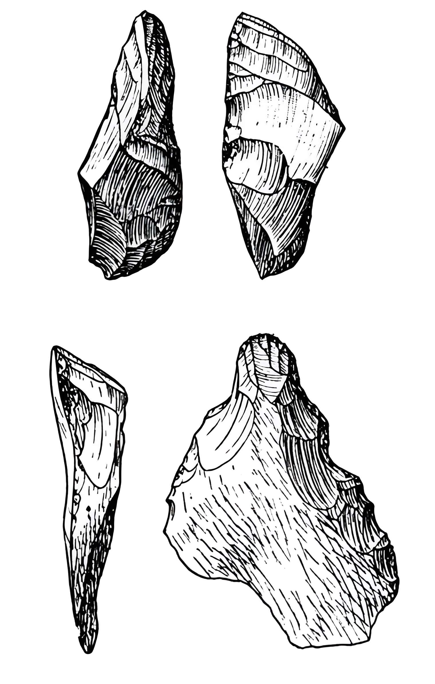 Salle des États de Forez à Montbrison