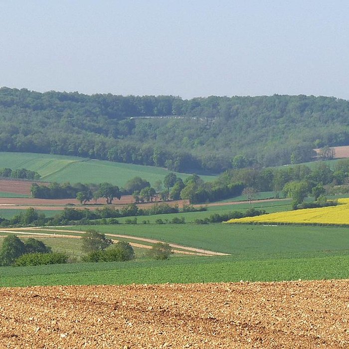 Photo de Sanctuaire des Bouchauds à Saint-Cybardeaux