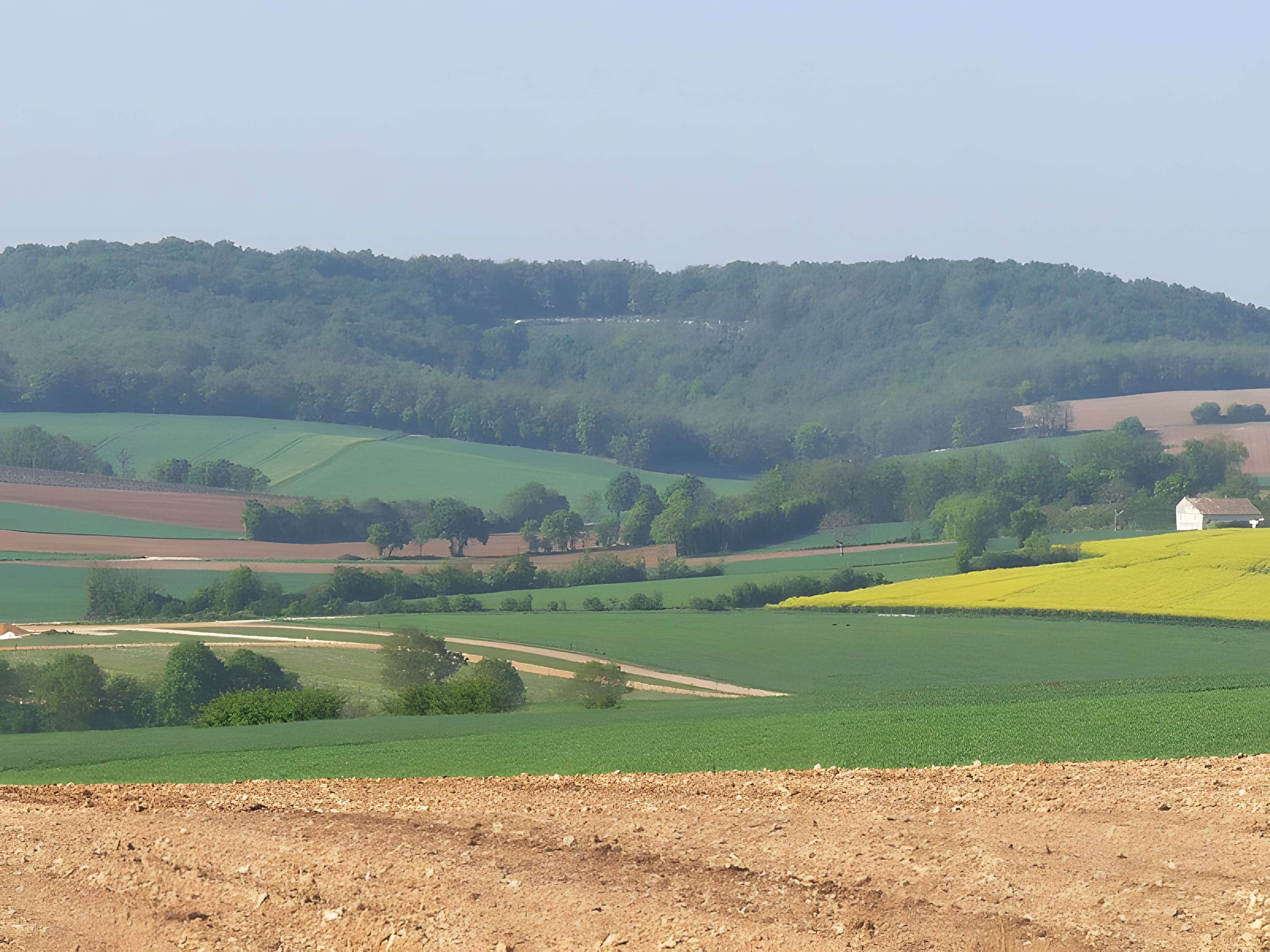 Sanctuaire des Bouchauds à Saint-Cybardeaux