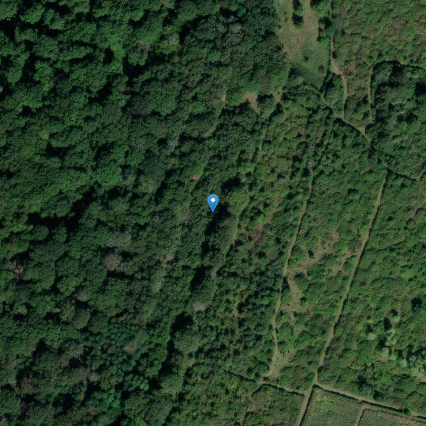 Photo de 德韦索尔河畔加洛-罗马取水保护区