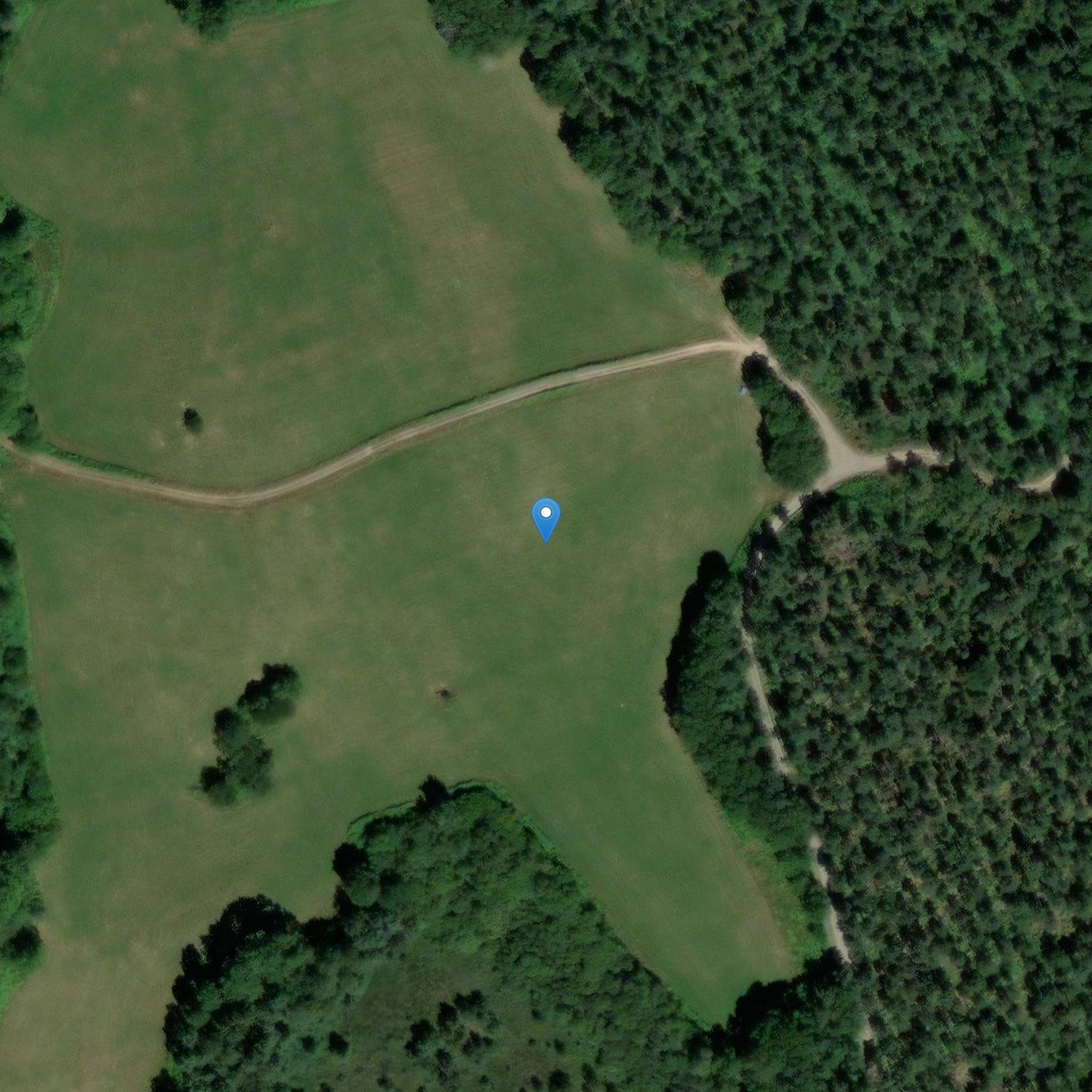 Photo de Santuario galo-romano de Puy-Lautard en Saint-Pierre-Bellevue