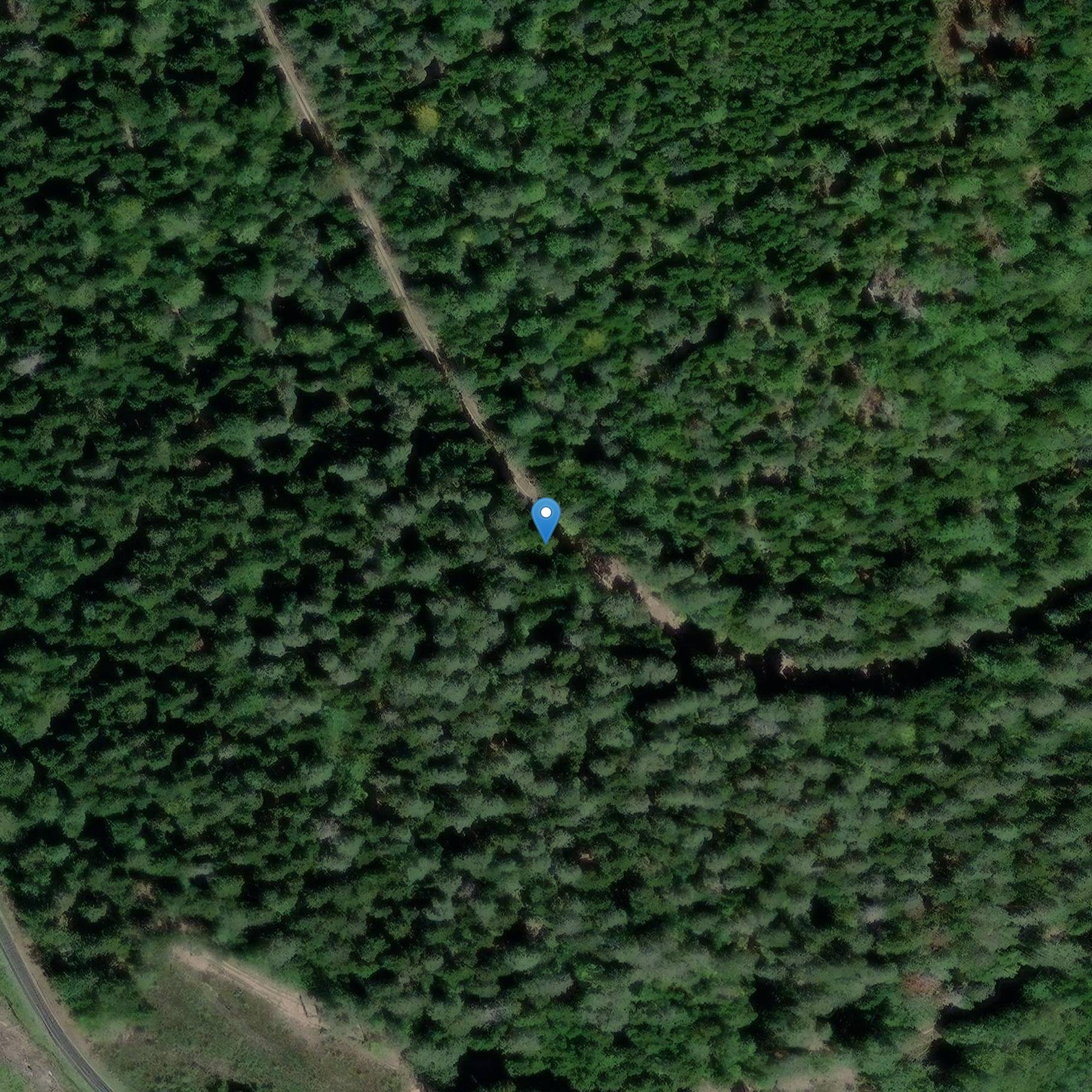 Photo de Scierie Lajus de Celles-sur-Plaine