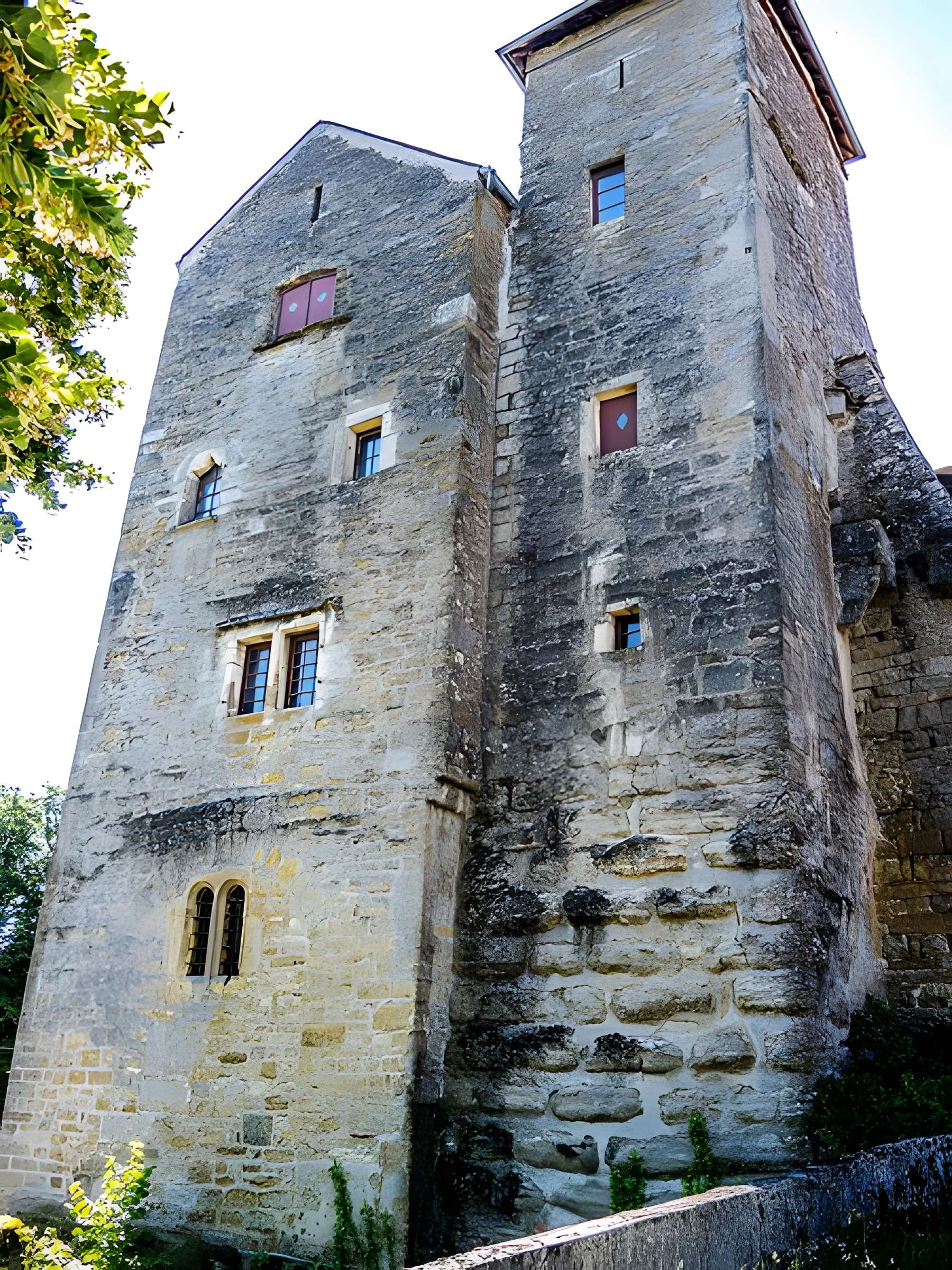 Château de Jouffroy-d'Abbans