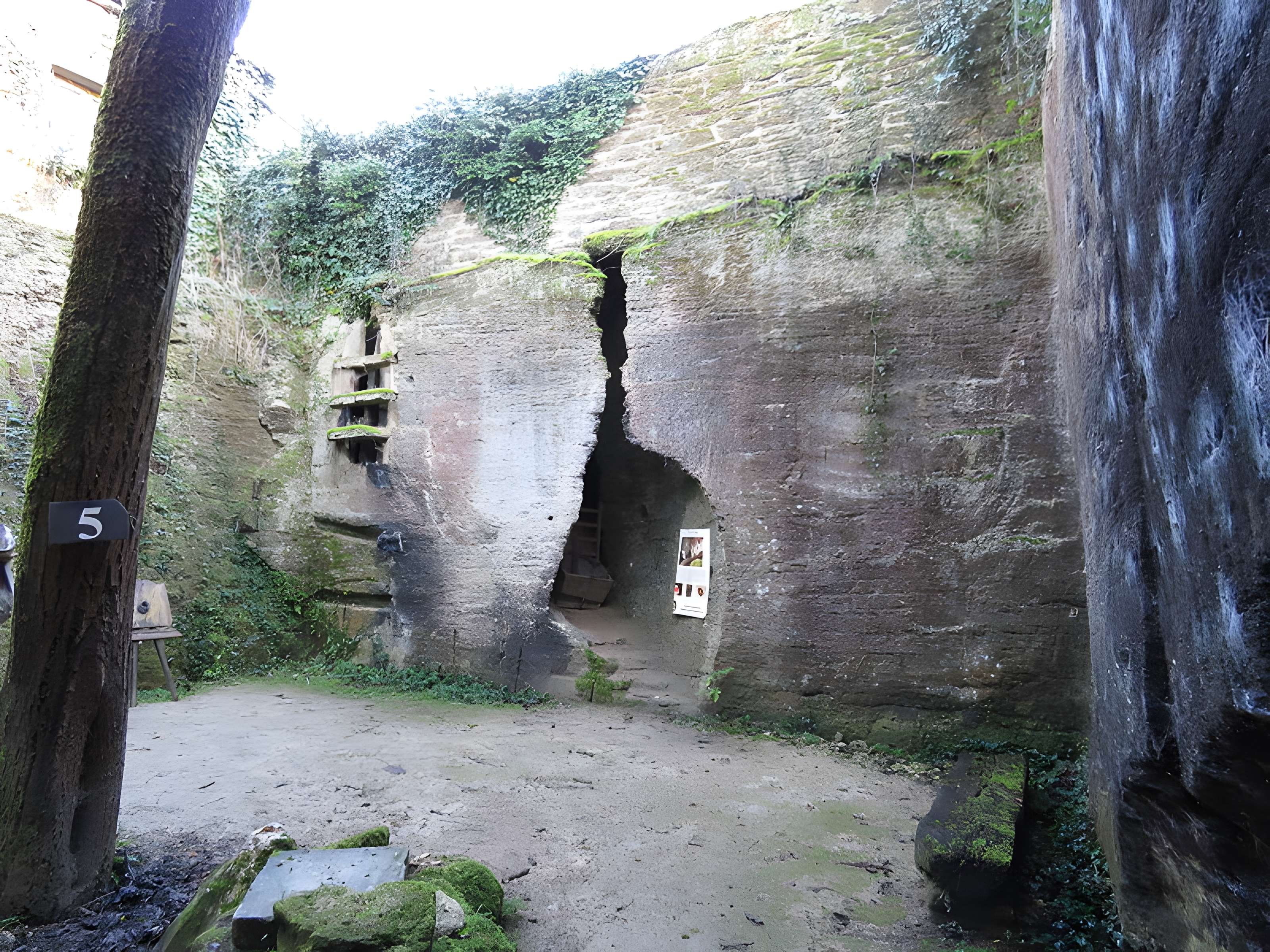 Site de la Seigneurie à Doué-la-Fontaine (Cave aux Sarcophages)