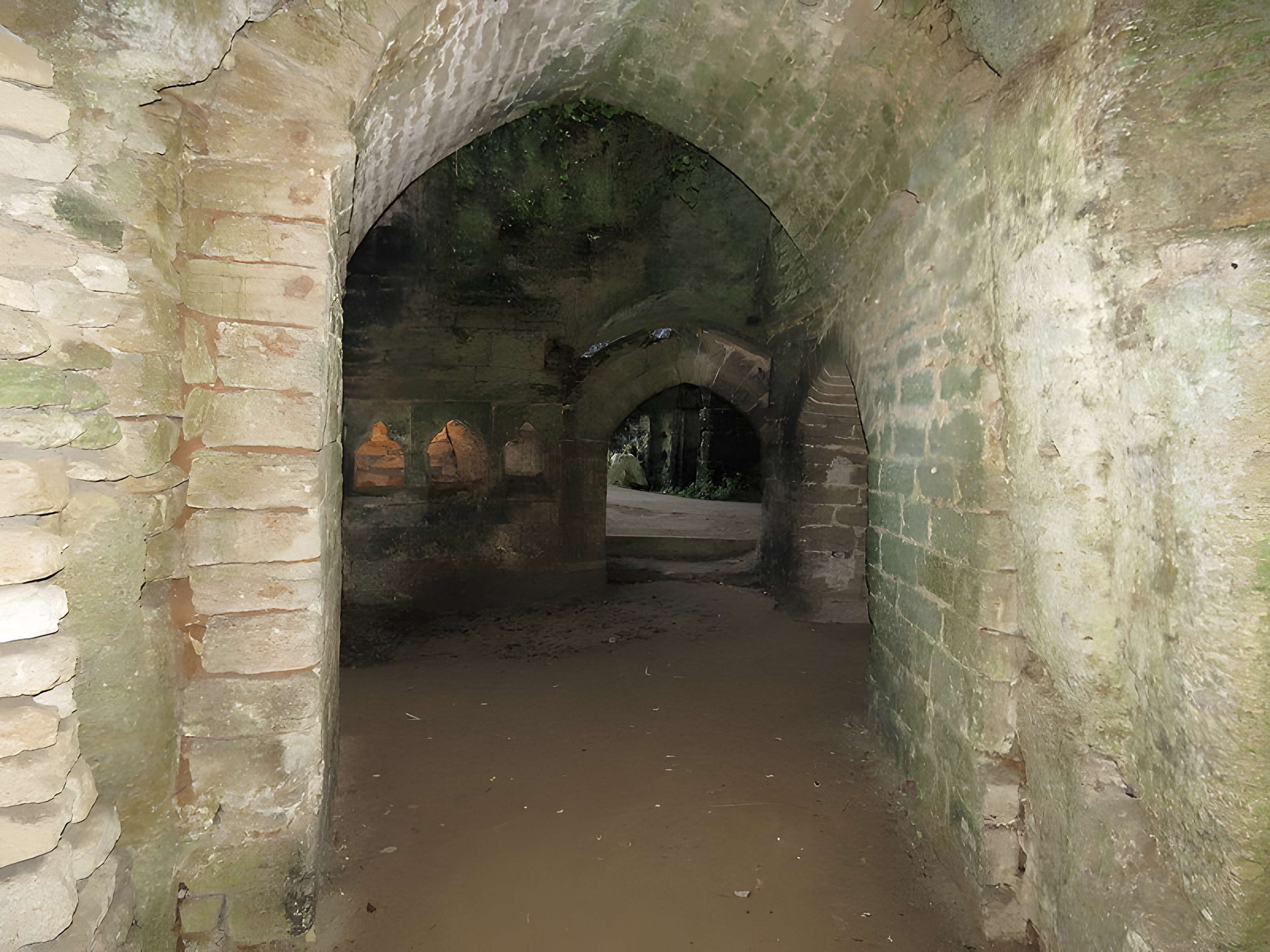 Site de la Seigneurie à Doué-la-Fontaine (Cave aux Sarcophages)