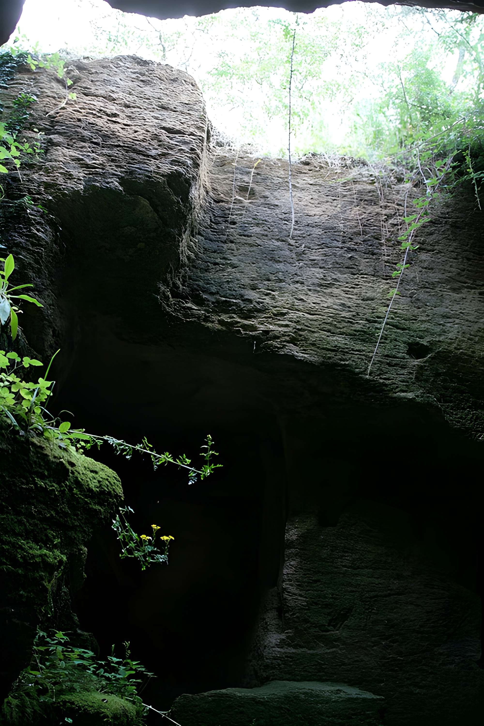 Site de la Seigneurie à Doué-la-Fontaine (Cave aux Sarcophages)