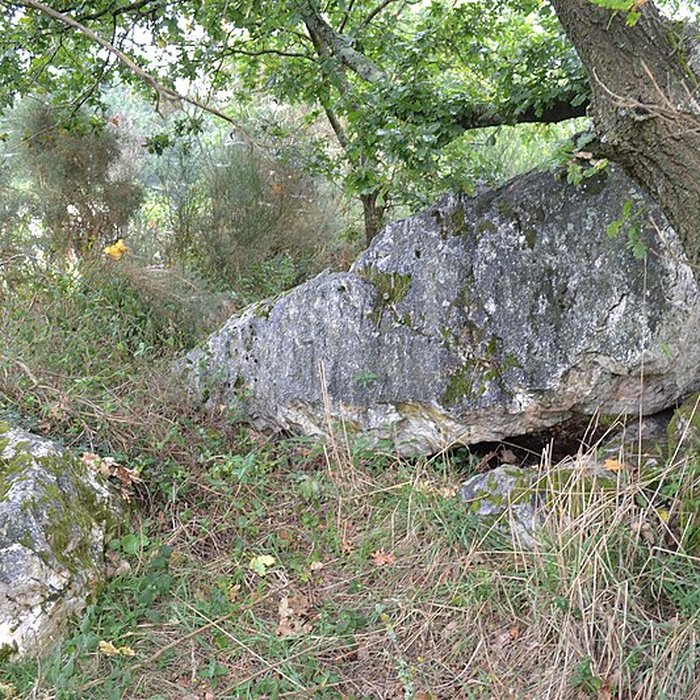 Photo de Sépulture mégalithique et tertre de Pléchâtel