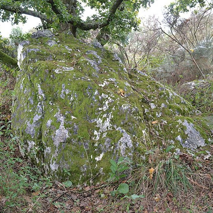 Photo de Sépulture mégalithique et tertre de Pléchâtel
