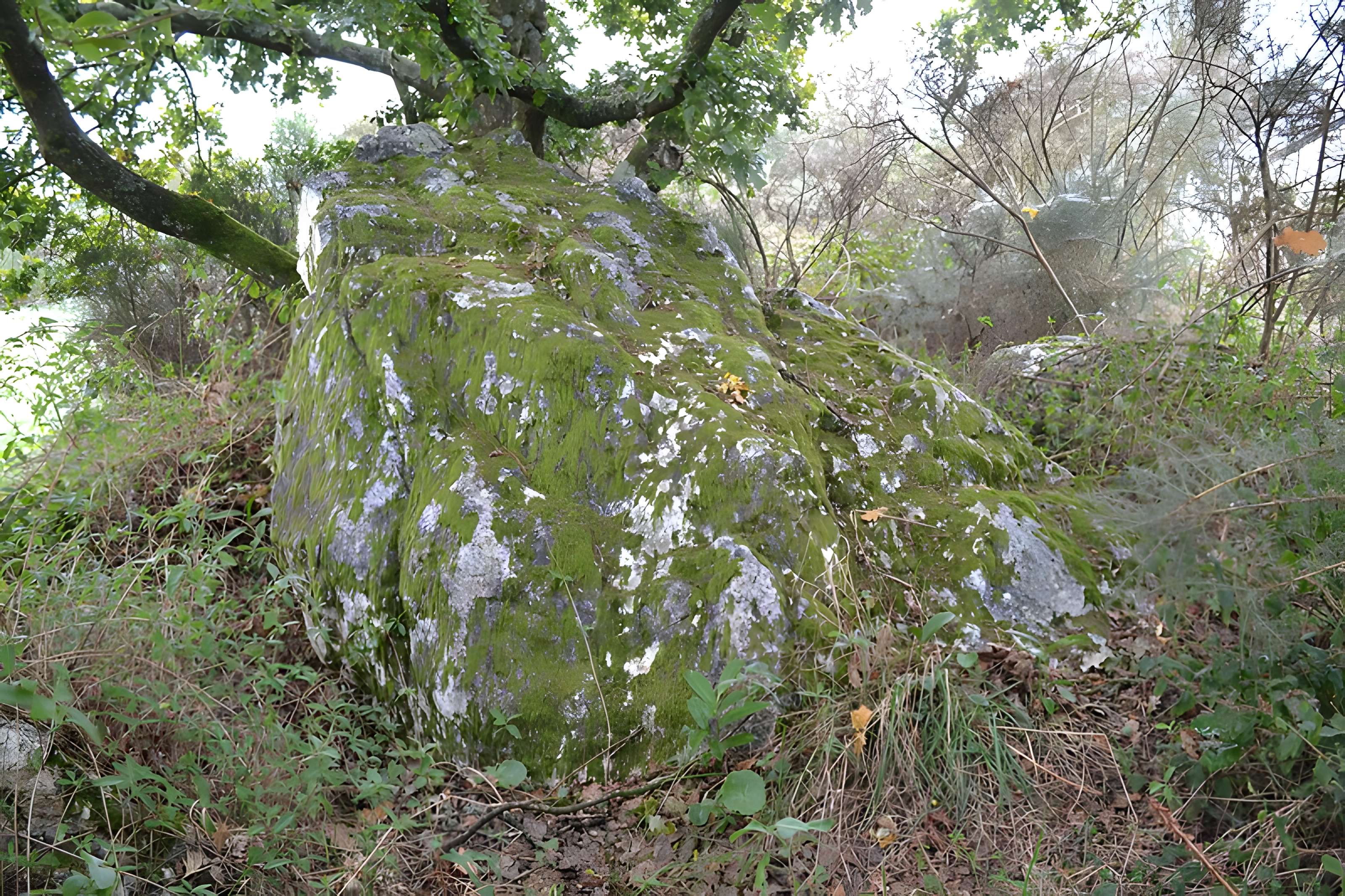 Sépulture mégalithique et tertre de Pléchâtel