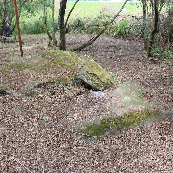 Photo de Sépultures mégalithiques de Saint-Joachim
