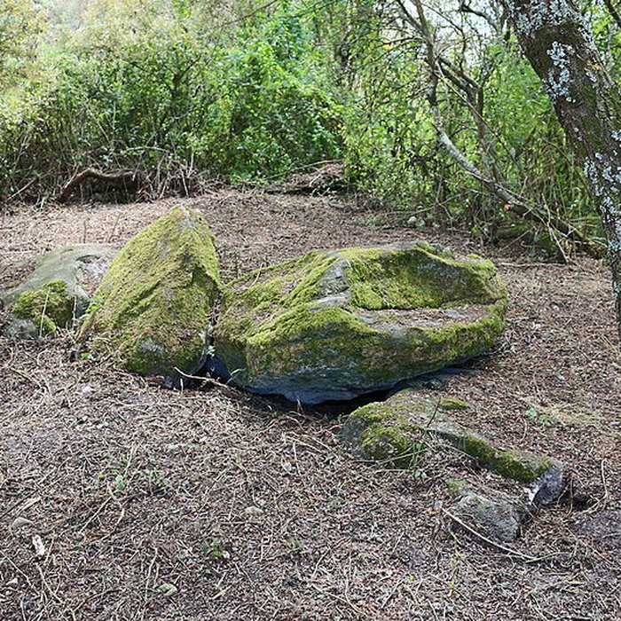 Photo de Sépultures mégalithiques de Saint-Joachim