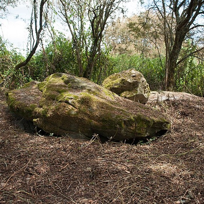 Photo de Sépultures mégalithiques de Saint-Joachim