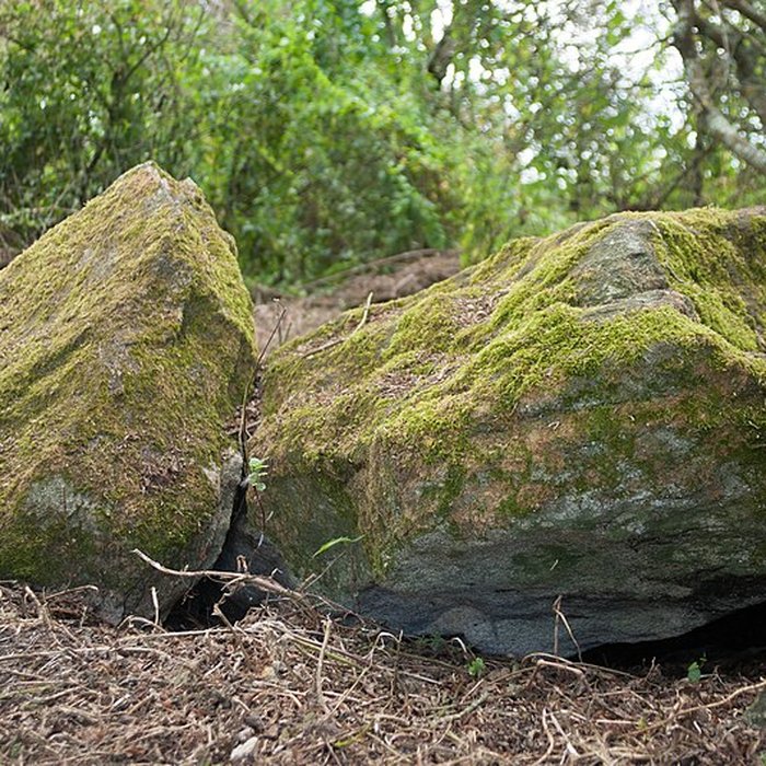 Photo de Sépultures mégalithiques de Saint-Joachim
