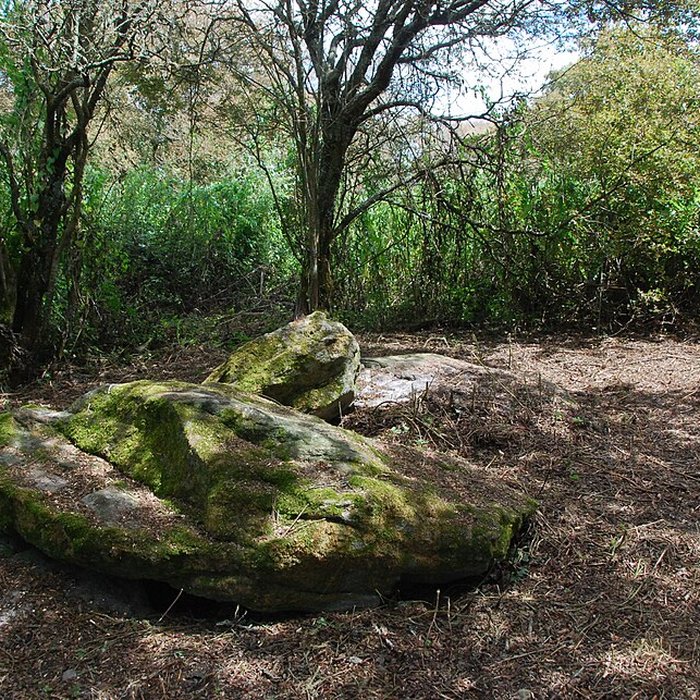 Photo de Sépultures mégalithiques de Saint-Joachim