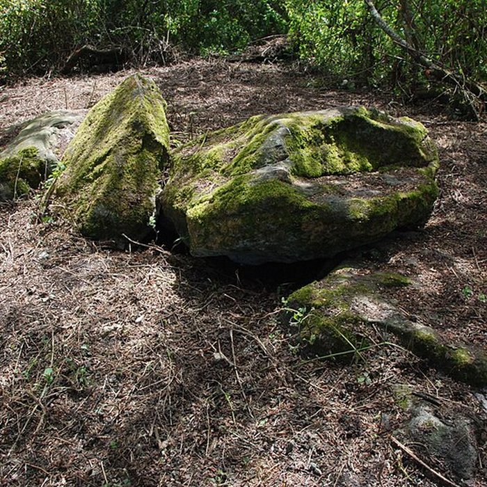 Photo de Sépultures mégalithiques de Saint-Joachim