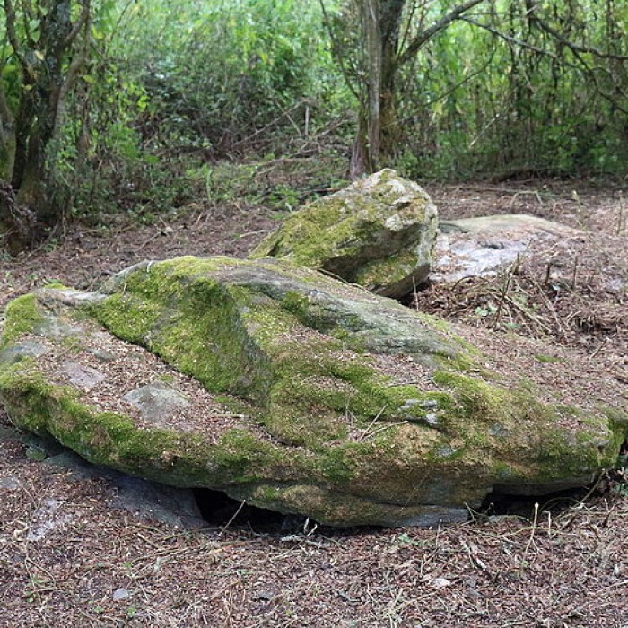 Photo de Sépultures mégalithiques de Saint-Joachim