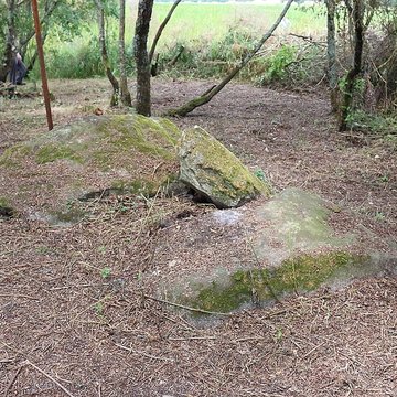 Sépultures mégalithiques de Saint-Joachim