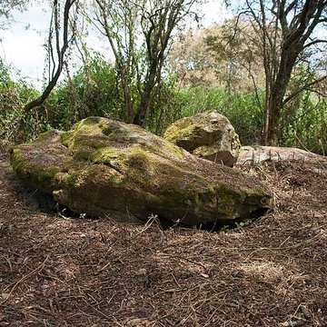 Sépultures mégalithiques de Saint-Joachim