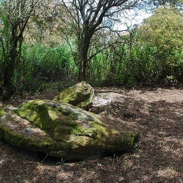 Sépultures mégalithiques de Saint-Joachim