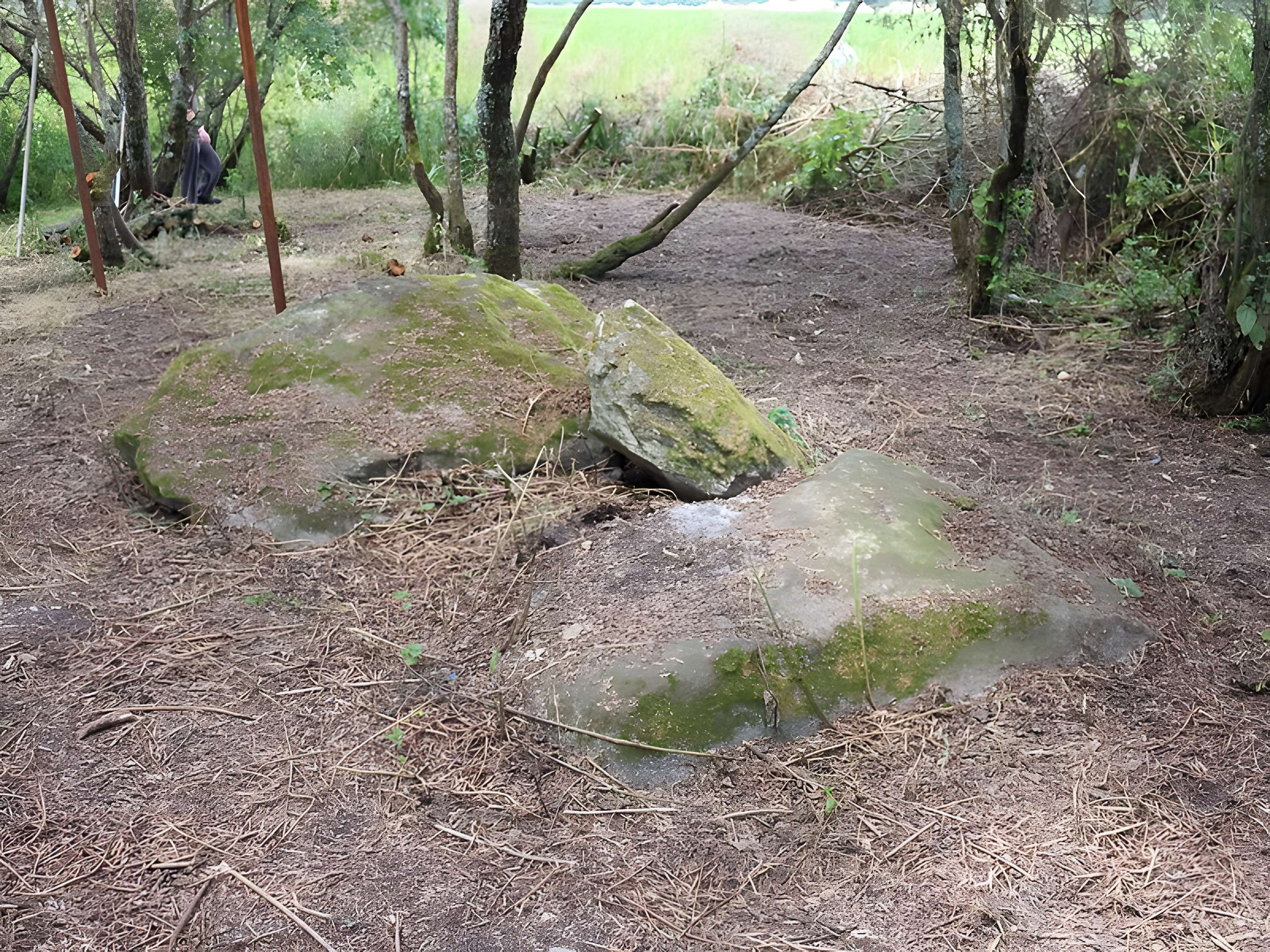Sépultures mégalithiques de Saint-Joachim