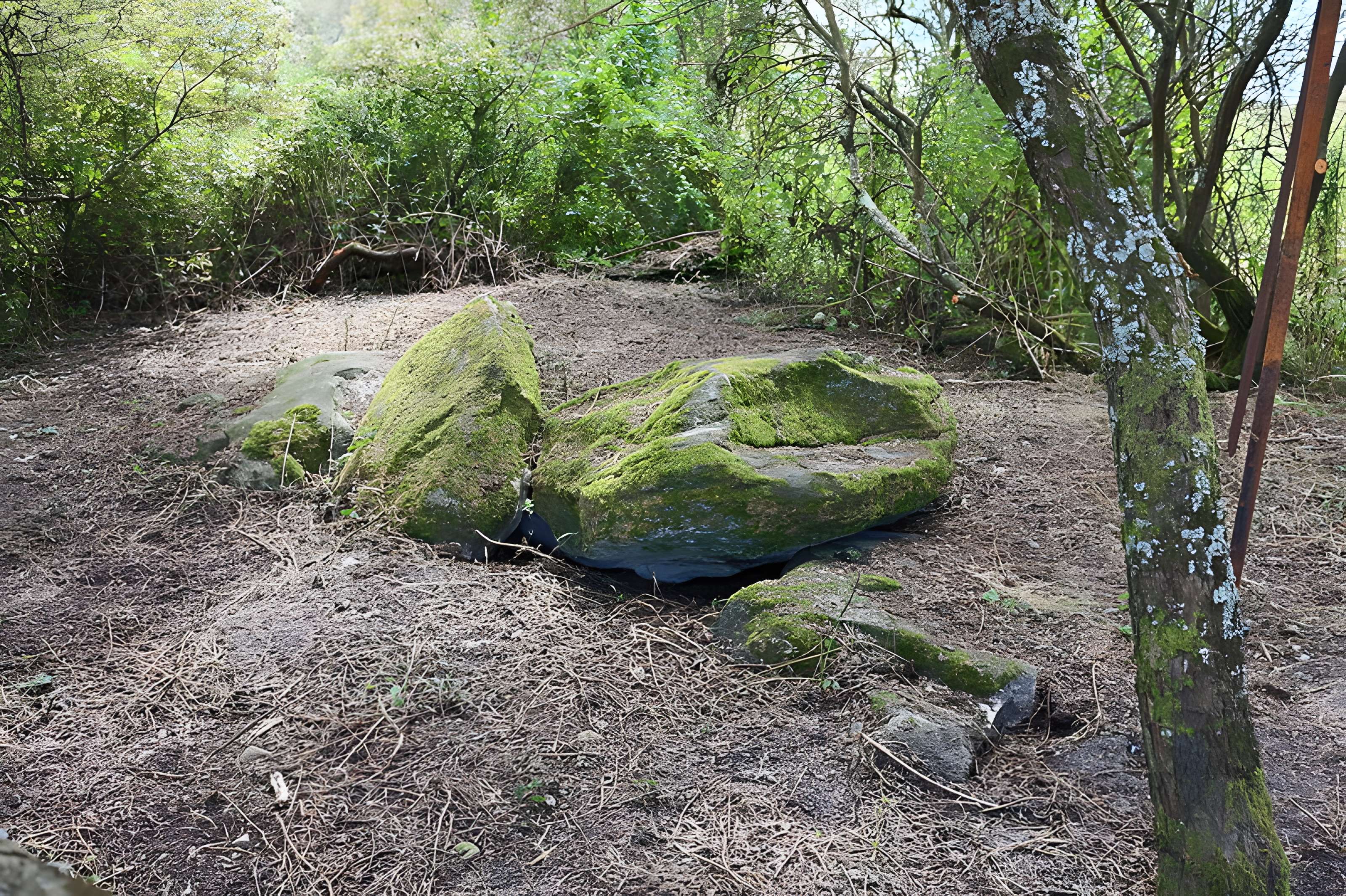 Sépultures mégalithiques de Saint-Joachim