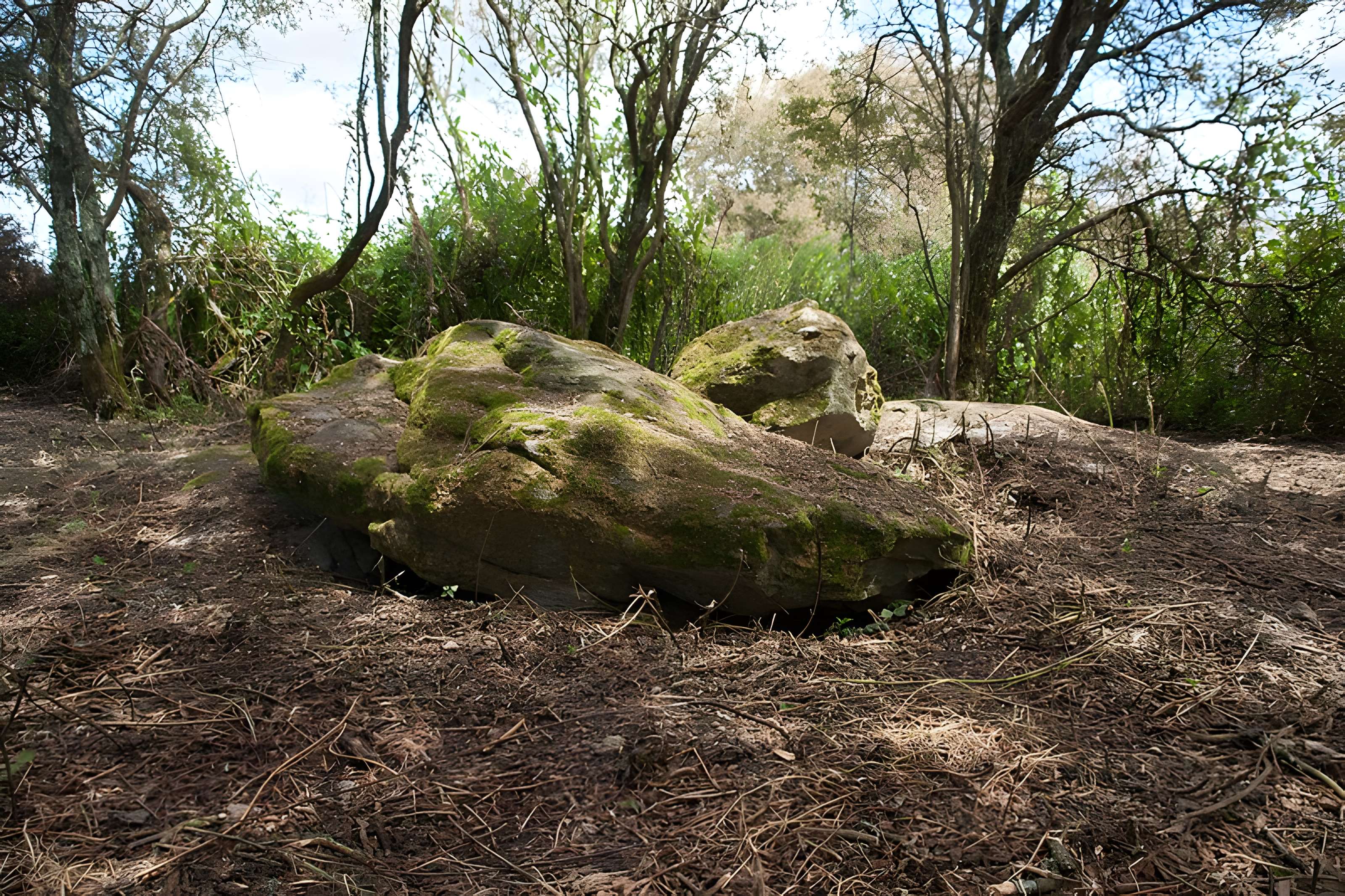 Sépultures mégalithiques de Saint-Joachim