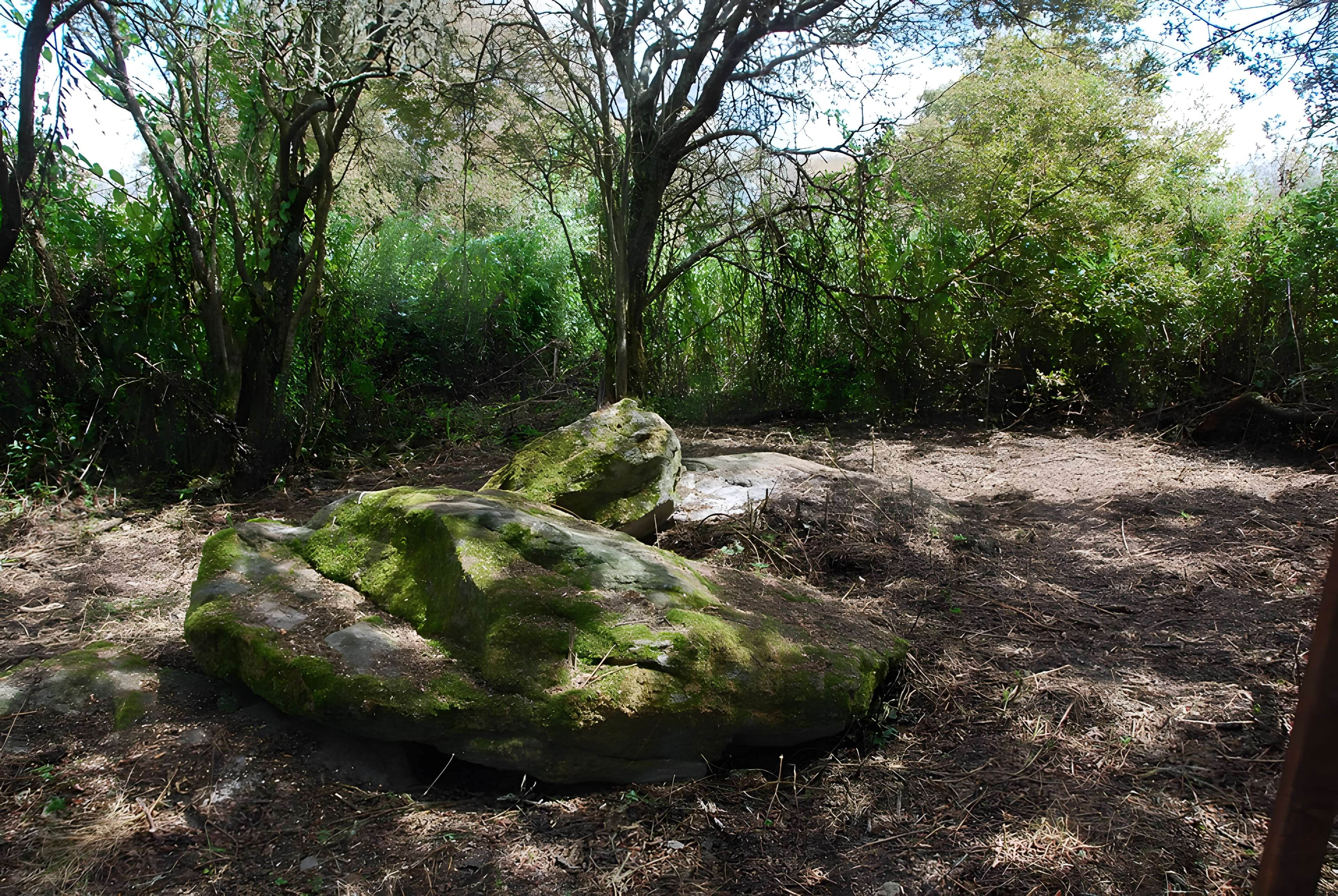 Sépultures mégalithiques de Saint-Joachim