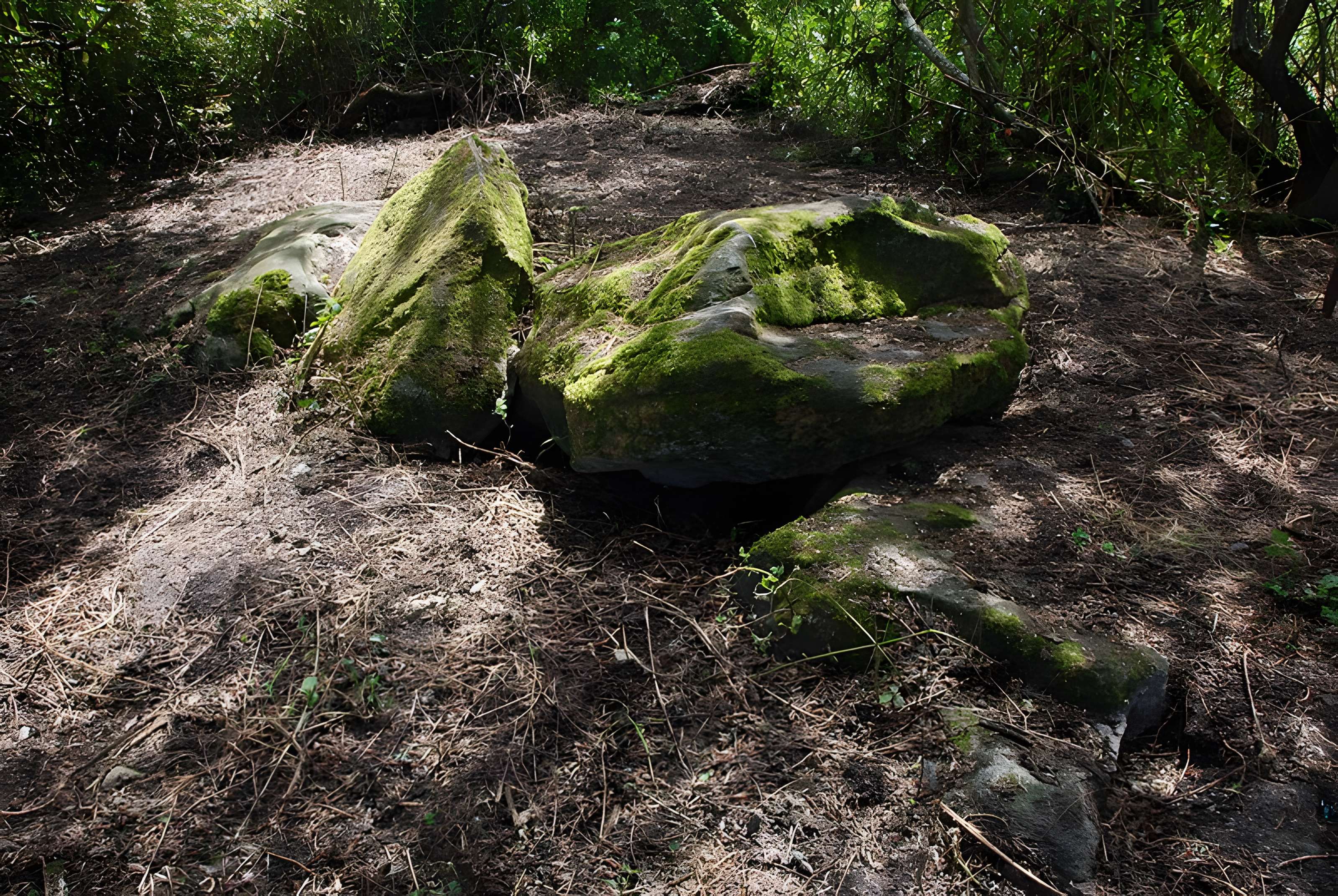 Sépultures mégalithiques de Saint-Joachim