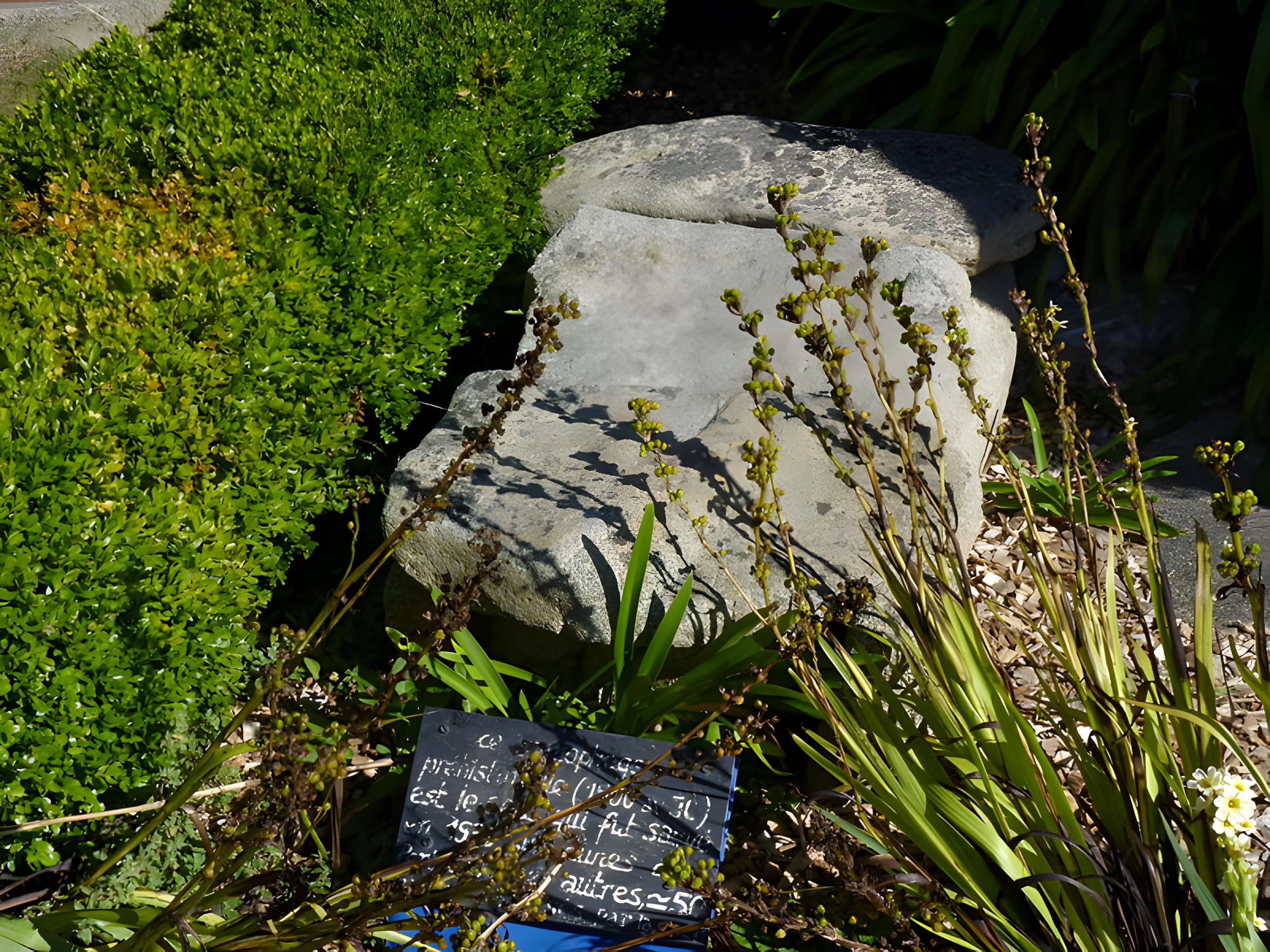 Sépultures néolithiques de Penvénan