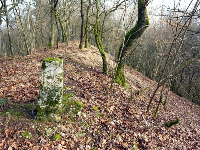 Photo de Site archéologique de Boviolles
