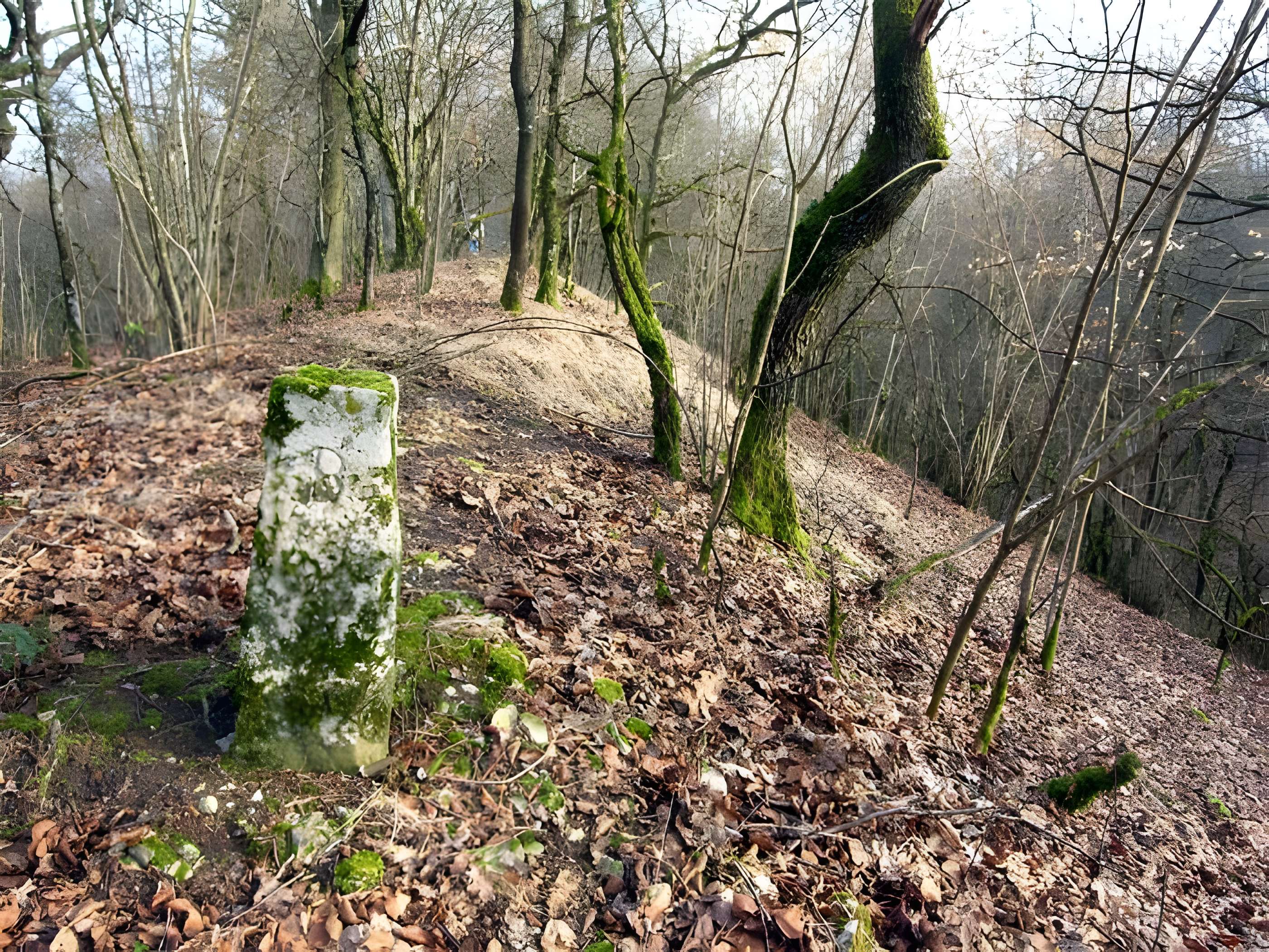 Site archéologique de Boviolles 