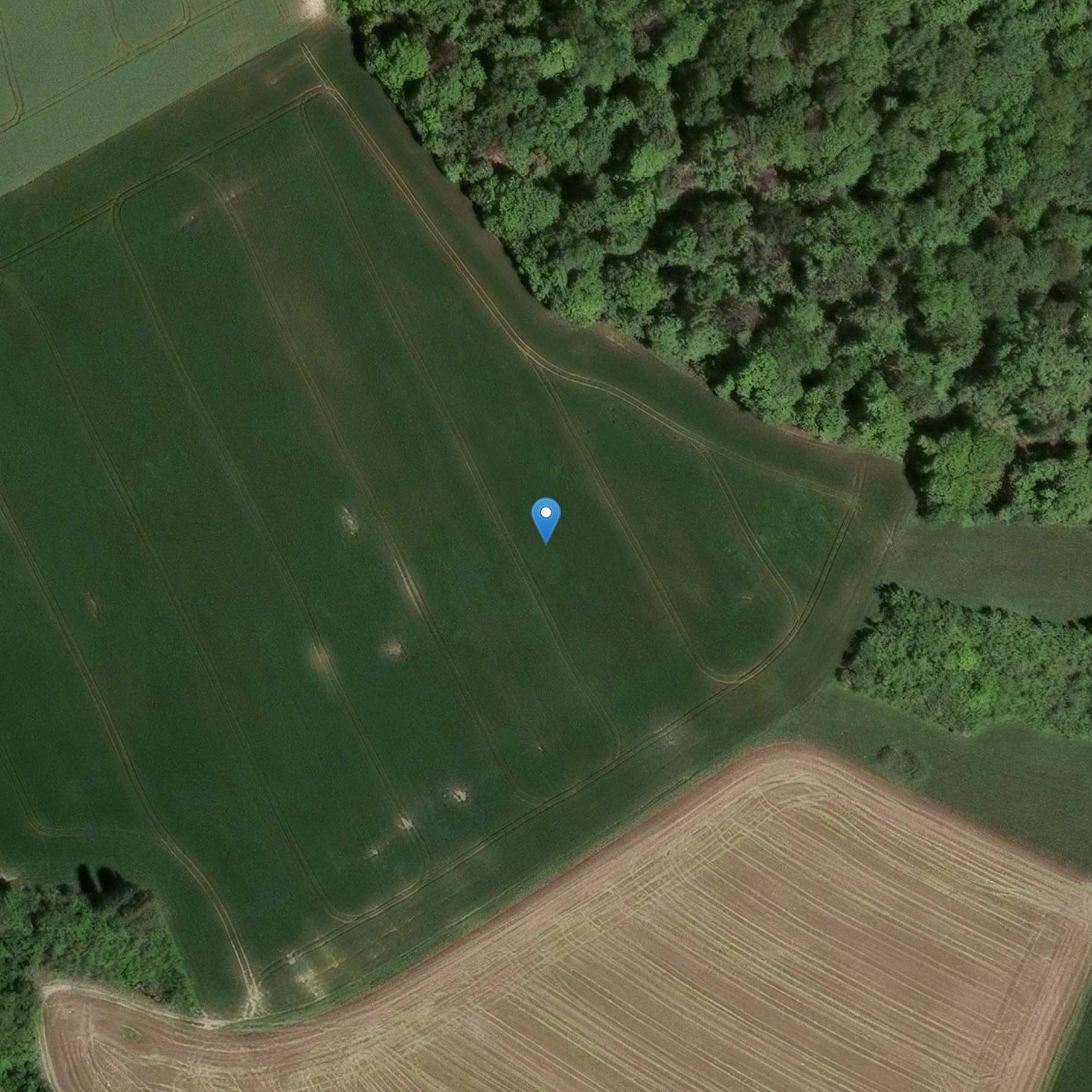 Photo de Archeologische locatie van de tumor necropolis in Teterchen