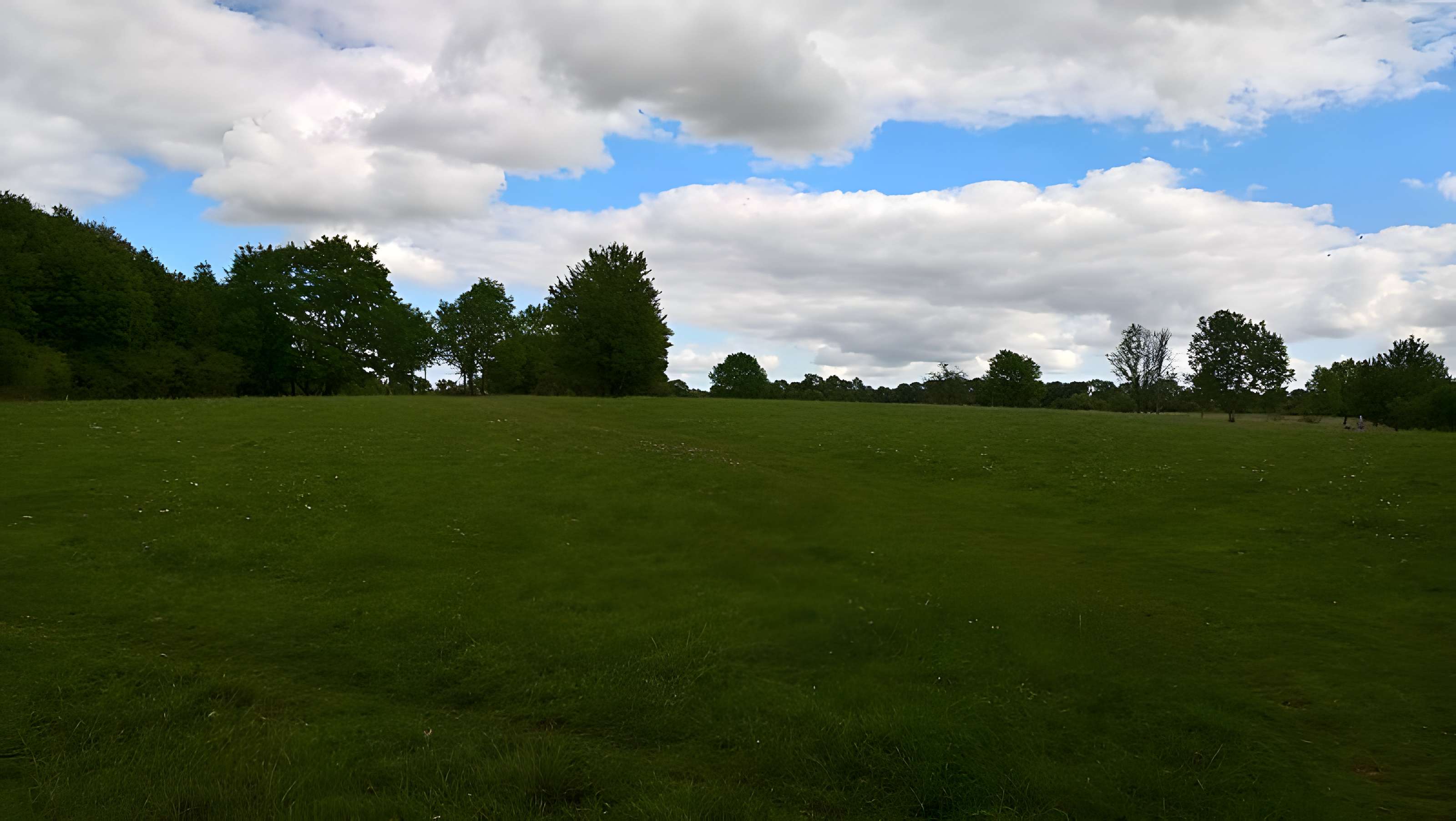 Site archéologique d'Essey-Nancy 