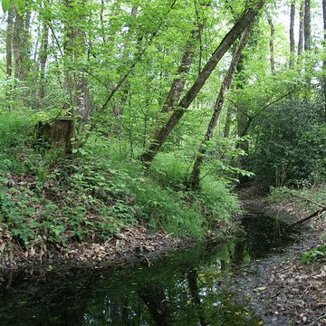 site archeologique du bois de montbourcher a vignoc