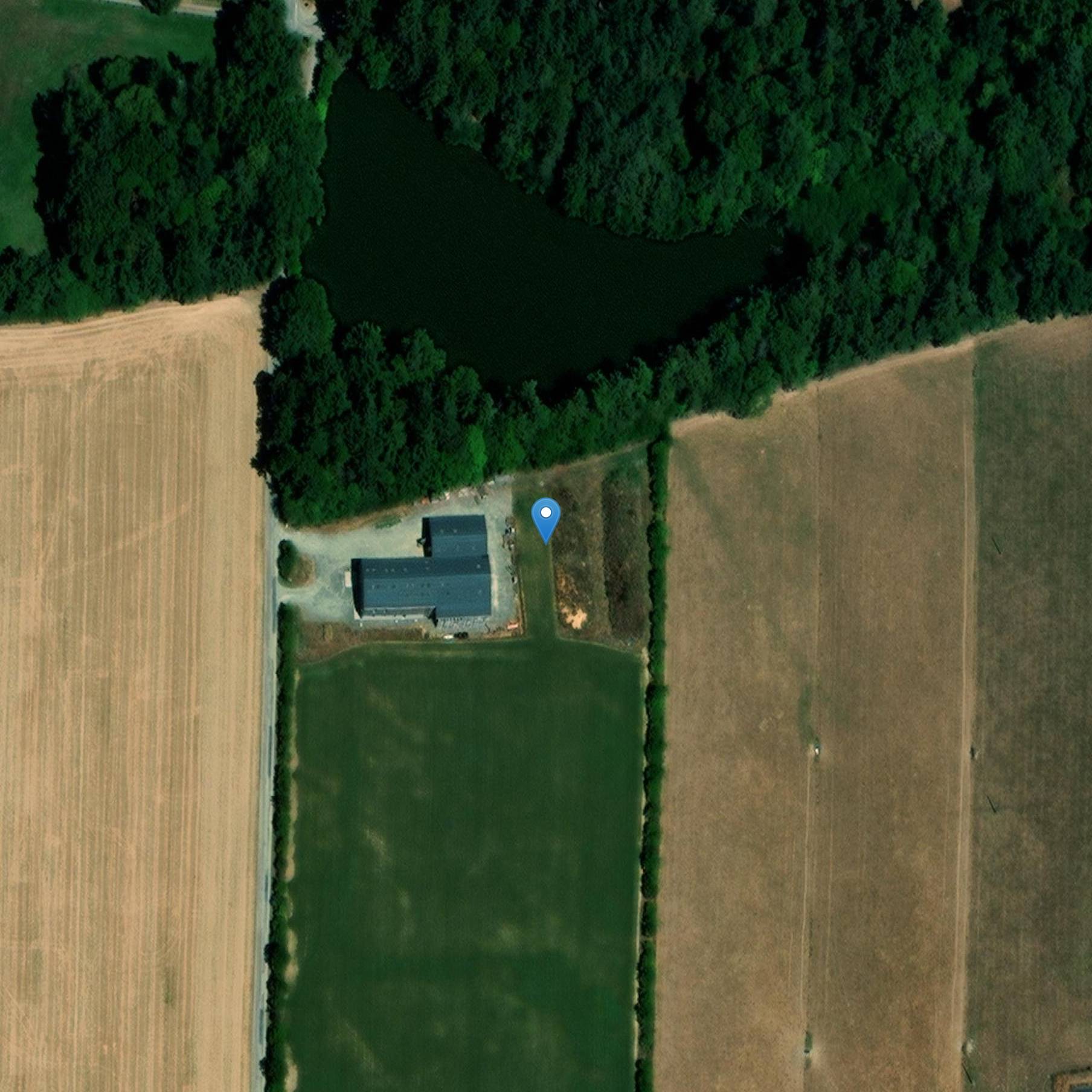 Photo de Site archéologique du bois du Pinel à Argentré-du-Plessis