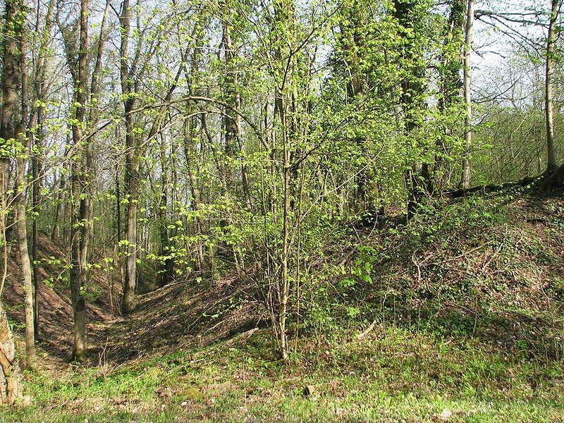 Photo de Site archéologique du Camp d'Affrique à Messein