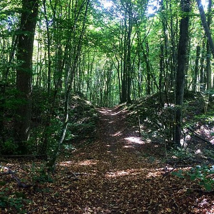 Photo de Site archéologique de hauteur fortifié du Camp dAffrique