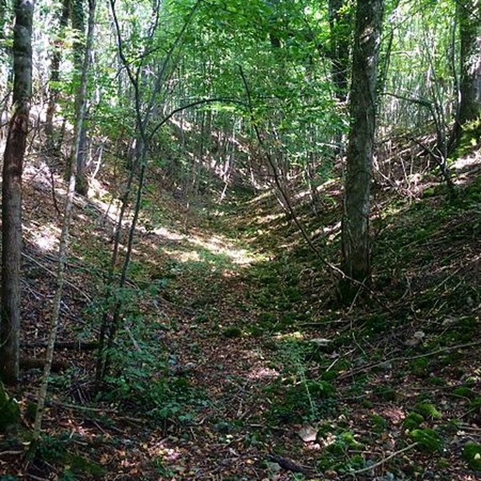 Photo de Site archéologique de hauteur fortifié du Camp dAffrique