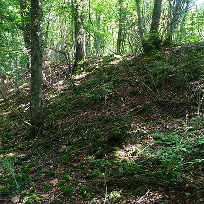 Photo de Site archéologique de hauteur fortifié du Camp dAffrique