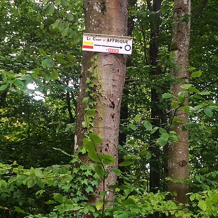 Photo de Site archéologique de hauteur fortifié du Camp dAffrique